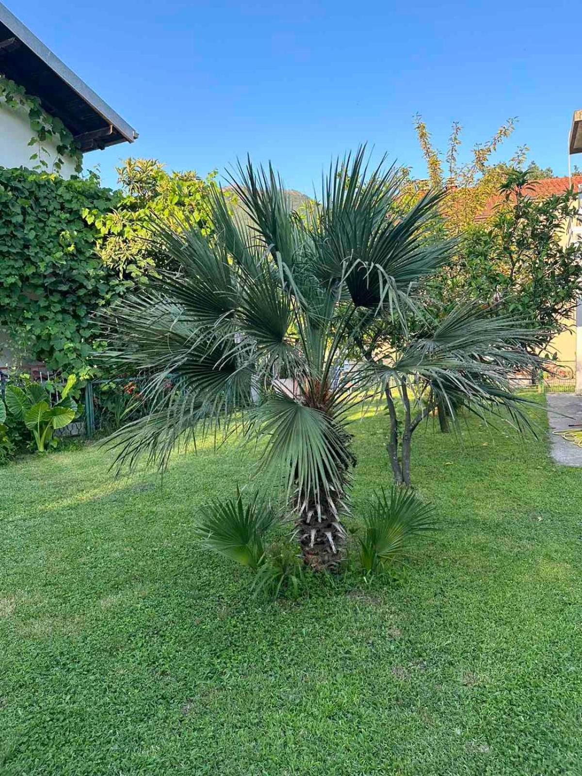Apartmani Zelenika Herceg Novi Eksteriør billede
