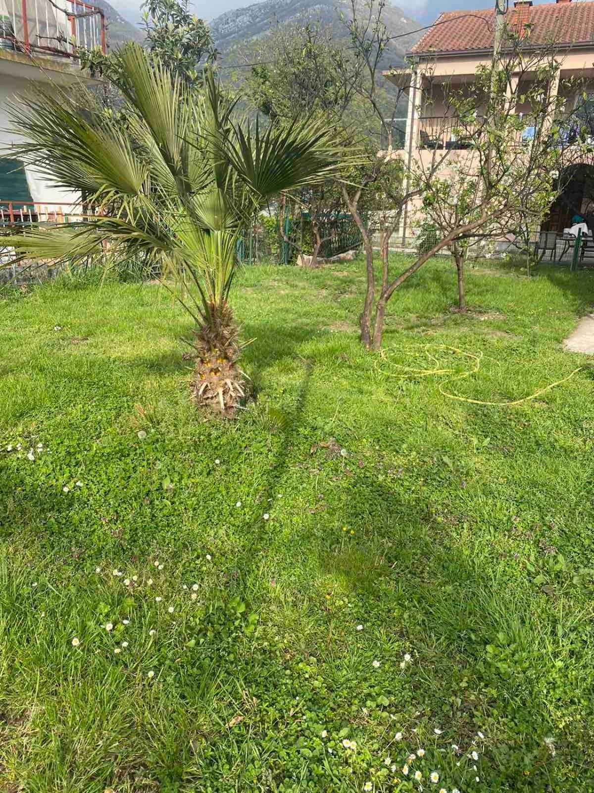 Apartmani Zelenika Herceg Novi Værelse billede